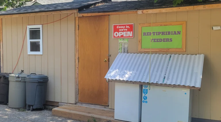Reptiphibian Feeders Storefront